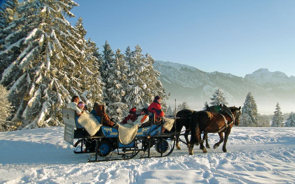 Guest house & Christian 3*